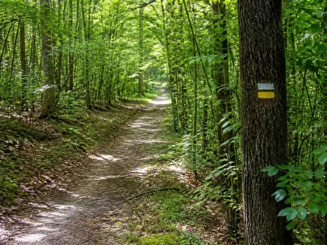découvrez la boucle du sentier des maquisards dans l'aube, une randonnée alliant patrimoine historique et beauté naturelle pour une immersion unique.