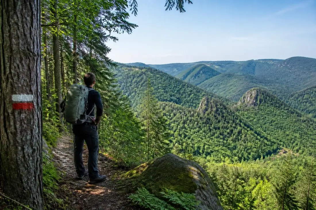 explorez le gr®53 de wissembourg au col de l'engin avec notre guide complet : itinéraire détaillé, conseils pratiques et curiosités naturelles à ne pas manquer pour une randonnée inoubliable.