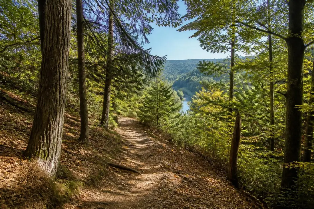 explorez le gr®14, sentier des ardennes, un parcours naturel incontournable offrant des paysages magnifiques et une immersion unique en pleine nature.
