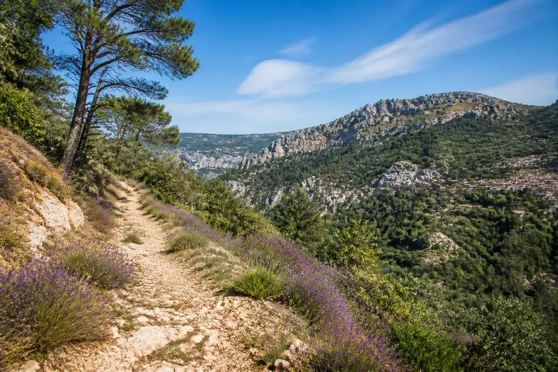 explorez le gr®2013, un sentier emblématique reliant marseille à la provence, idéal pour les amateurs de randonnée et de paysages exceptionnels.