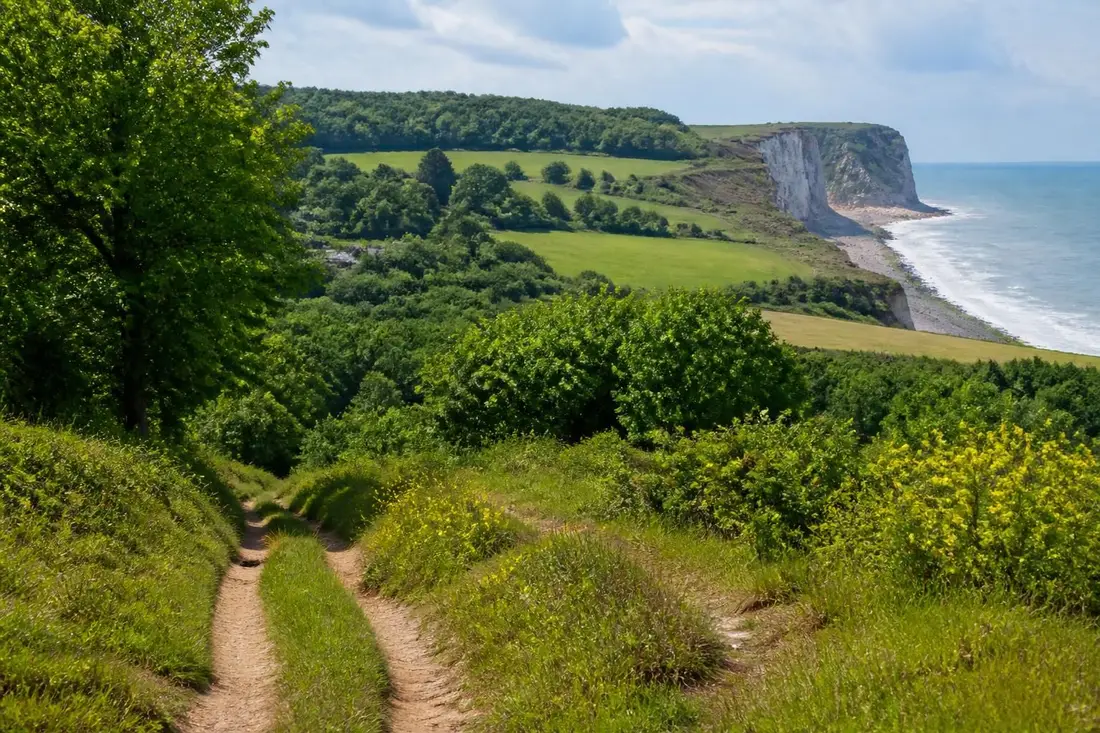partez à l'aventure sur le gr®26, un itinéraire captivant de poissy aux paysages diversifiés de villers-sur-mer, idéal pour les amateurs de randonnée et de nature.