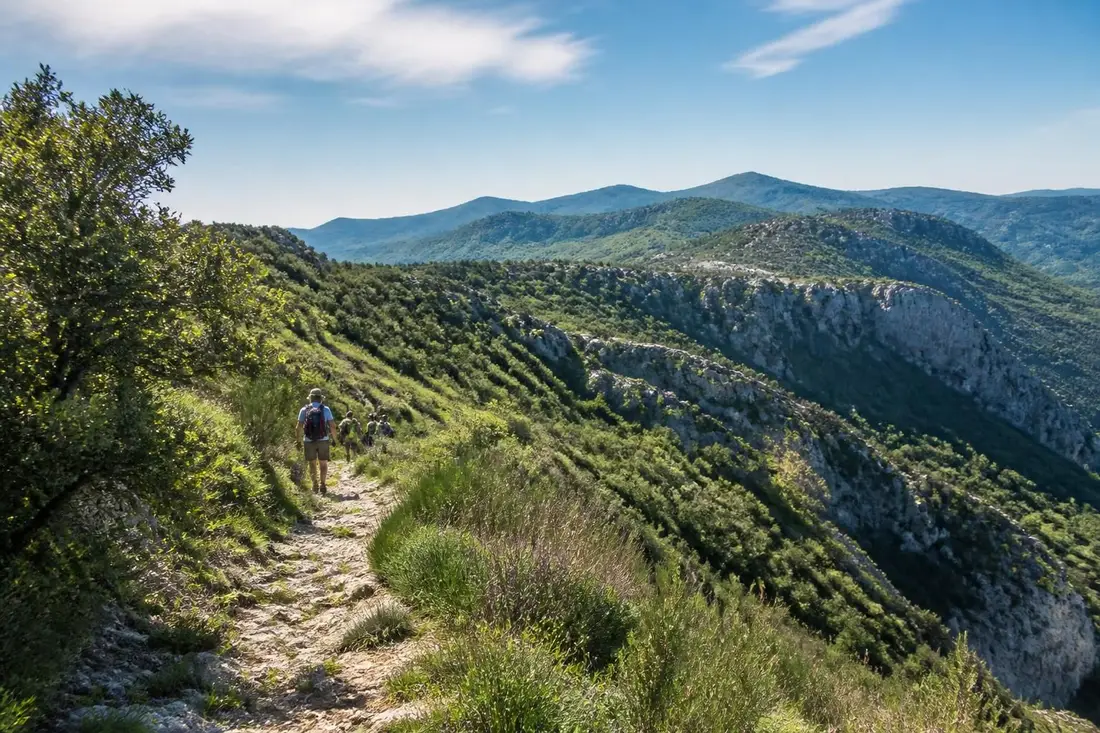 explorez le gr®420, un magnifique sentier de randonnée qui fait le tour du haut-vivarais en ardèche. partez à la découverte de paysages pittoresques et d'une nature préservée.