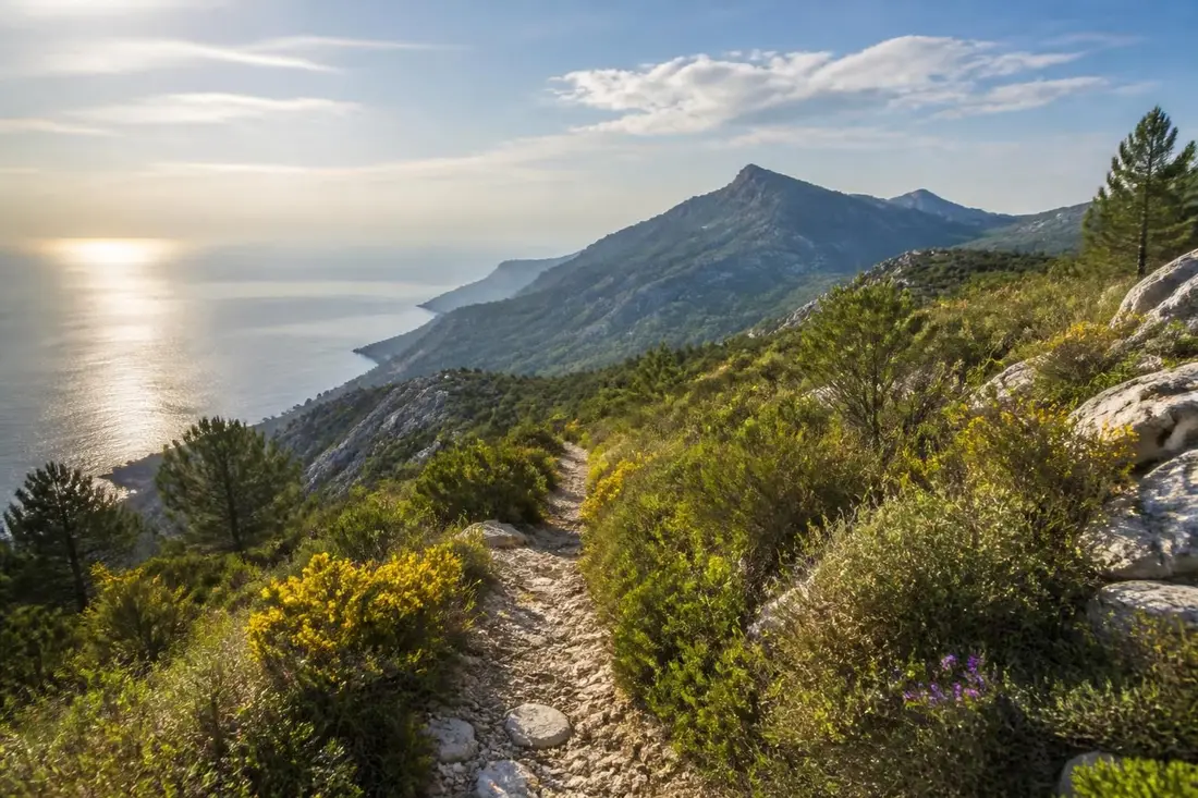 parcourez le gr®51, le sentier balcon de la méditerranée, offrant des vues spectaculaires entre mer et montagne pour une expérience de randonnée inoubliable.