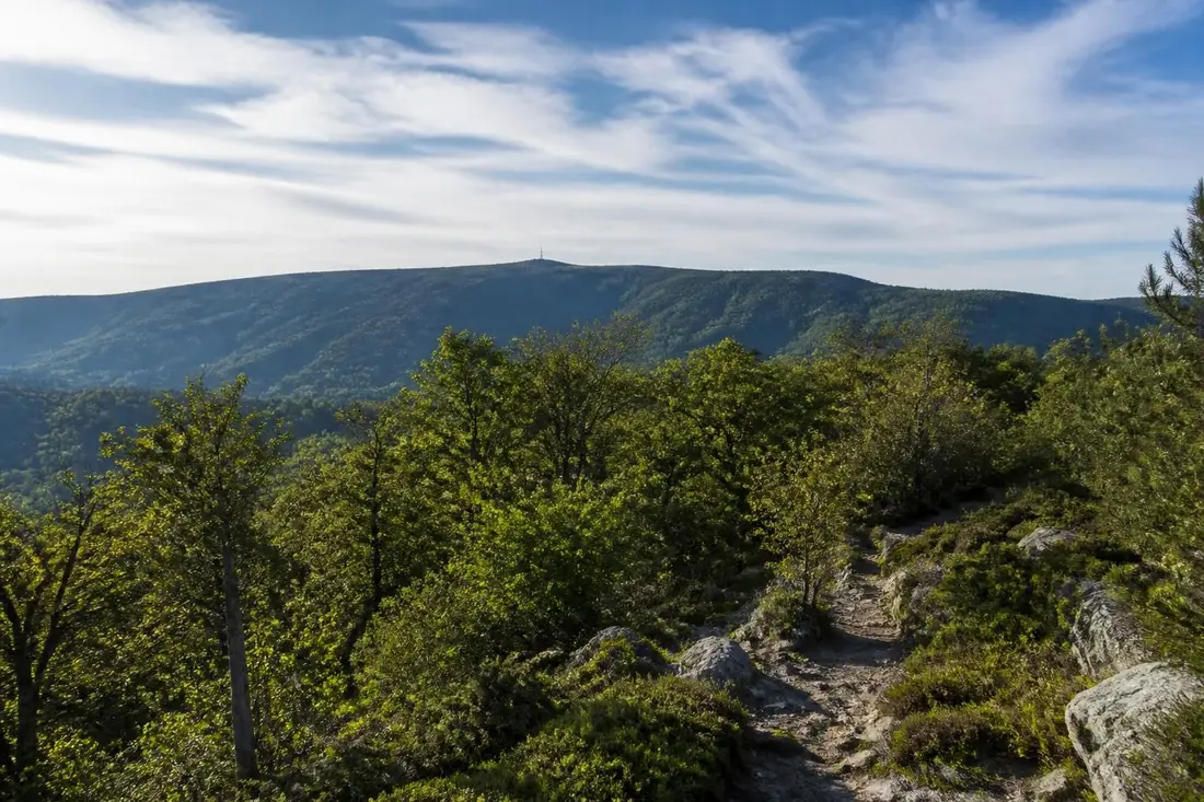 explorez le gr®66 et le tour du mont aigoual dans le parc national des cévennes, une aventure unique entre nature, paysages magnifiques et patrimoine préservé.