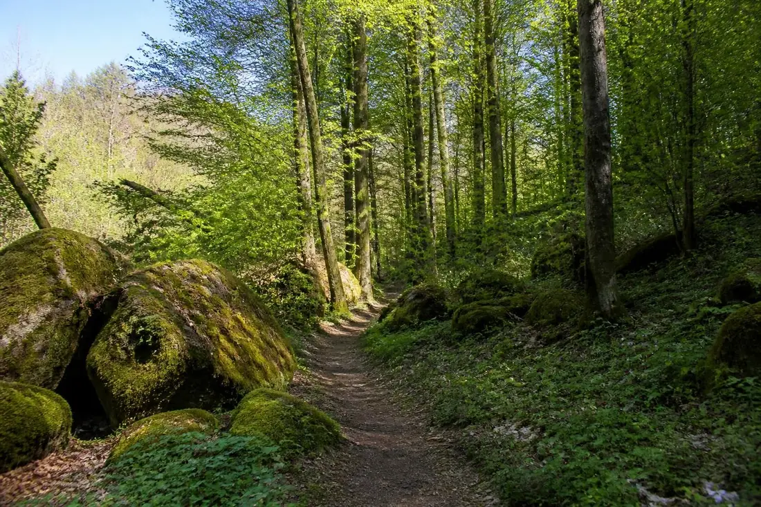 explorez le sentier gr®122 de bon-secours à son et profitez d'une randonnée inoubliable au cœur des magnifiques ardennes belges.