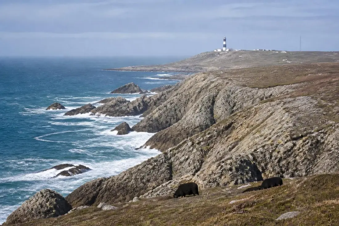explorez le tour de l'île d'ouessant en 2026 et laissez-vous émerveiller par ses paysages exceptionnels, sa nature préservée et son atmosphère authentique.