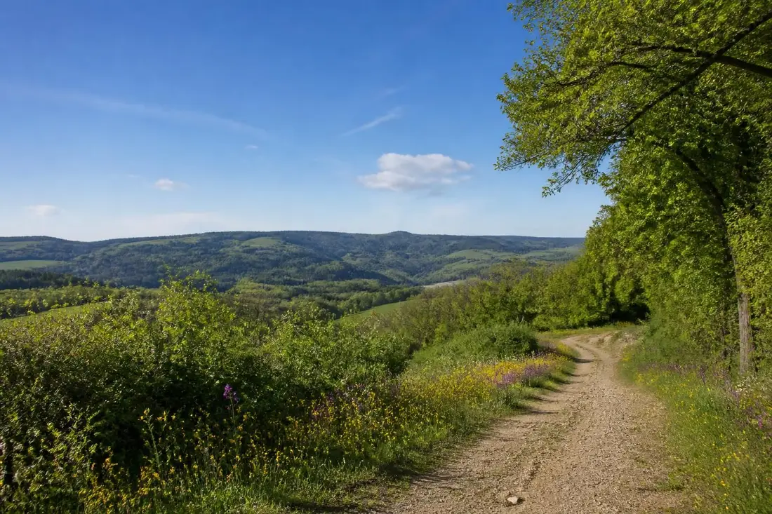 découvrez le tour des monts de blond, un itinéraire incontournable en haute-vienne pour les amateurs de randonnée et de paysages naturels époustouflants.