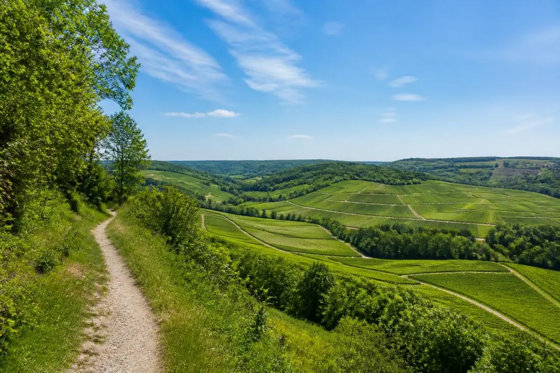 explorez le charme naturel des vallées de la sarce et de l'hozain dans l'aube. découvrez des paysages remarquables, une faune diversifiée et des sentiers de randonnée incontournables.