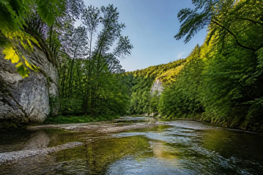 explorez les magnifiques vallées de la sarce et de l'hozain dans l'aube, un parcours naturel idéal pour les amateurs de randonnée et de paysages authentiques.