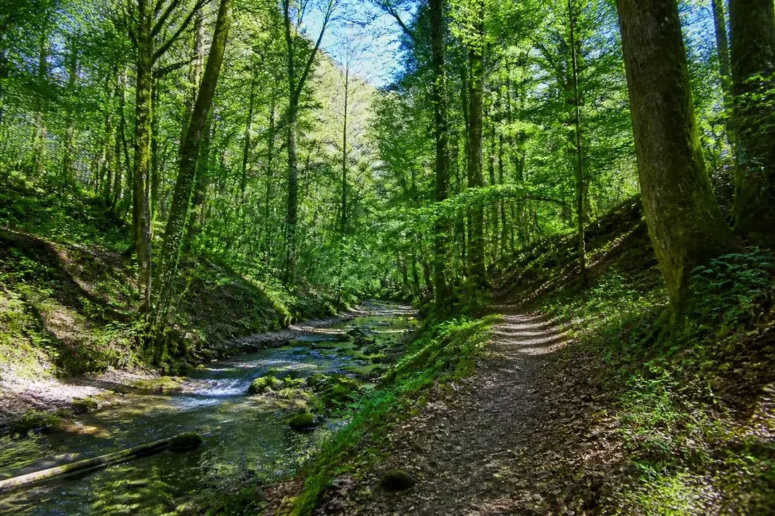 partez à la découverte du tour du cœur de gascogne dans le gers, une aventure immersive au cœur de la nature sauvage et préservée.