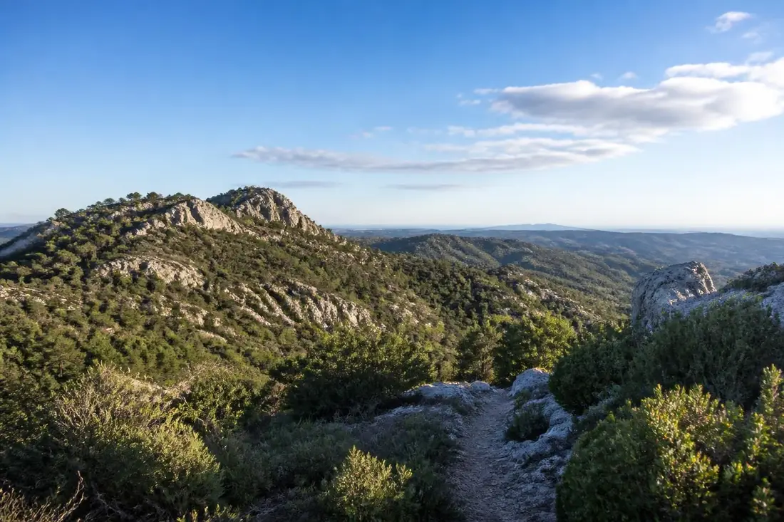 partez à la découverte du massif d'uchaux dans le vaucluse grâce à une randonnée exceptionnelle offrant des paysages incontournables à couper le souffle.