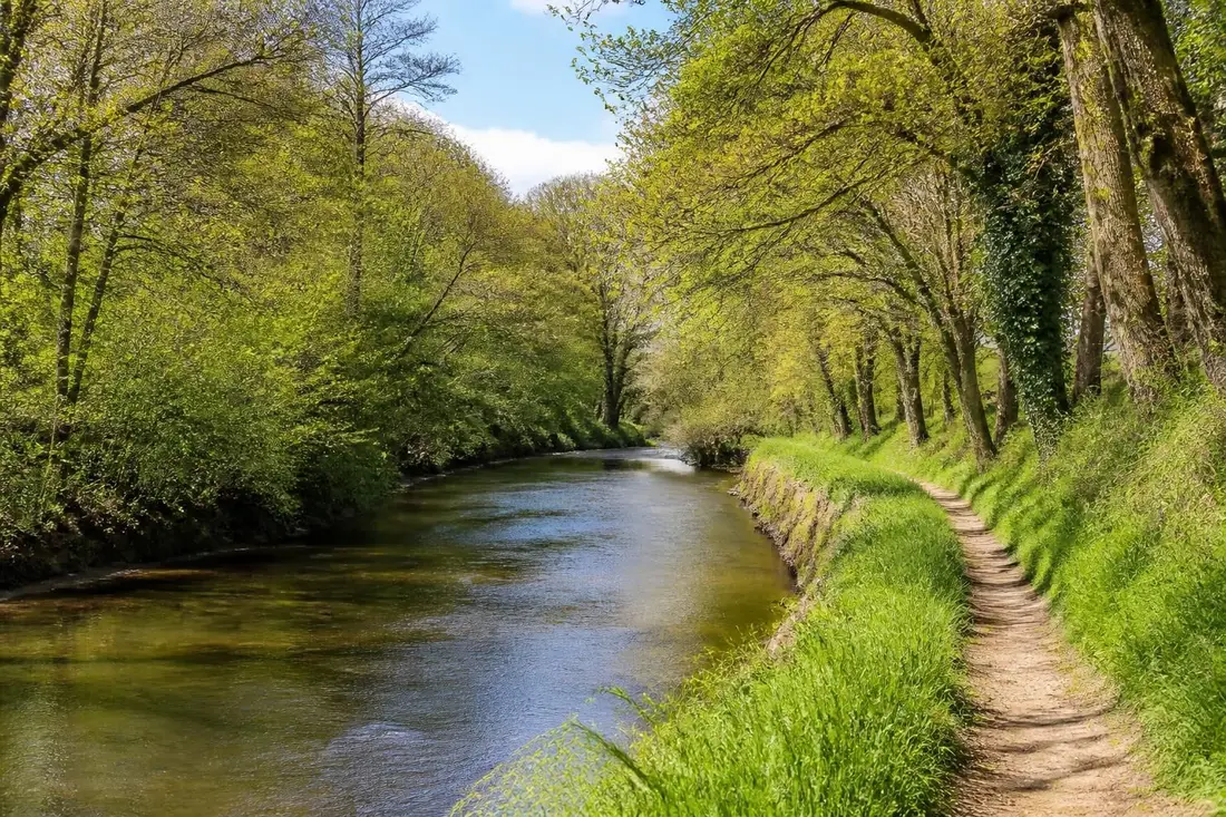 partez à la découverte du sentier de la loutre en vendée, un parcours nature incontournable alliant paysages préservés et biodiversité exceptionnelle. idéal pour les amoureux de la randonnée et de la nature.