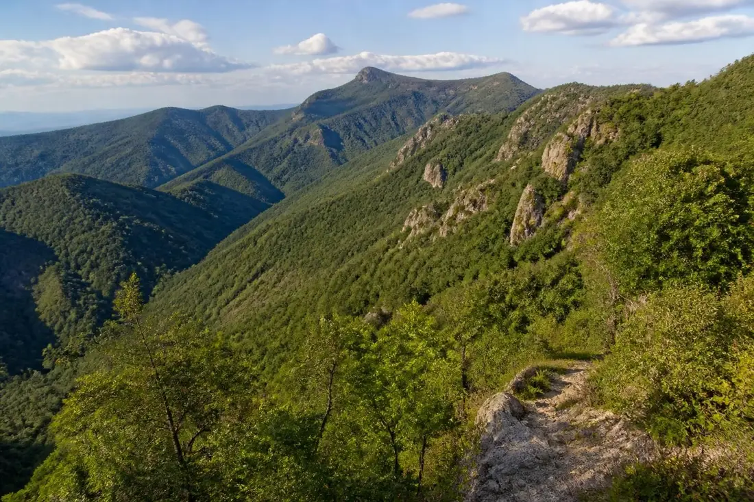 explorez le tour du tanargue, une randonnée incontournable en ardèche offrant des paysages naturels époustouflants et une immersion unique au cœur de la région.