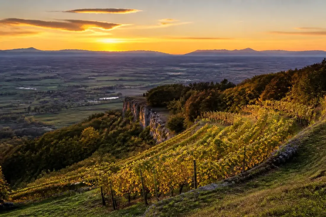 explorez les paysages magnifiques et les traditions authentiques du tour du revermont, une expérience unique entre l'ain et le jura.