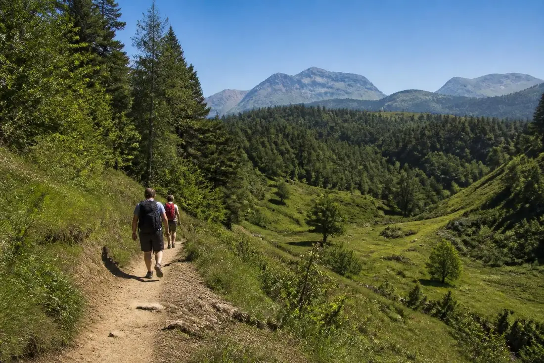 explorez la route napoléon gr®406, un itinéraire chargé d'histoire. découvrez ses paysages uniques et bénéficiez de conseils pratiques pour réussir votre randonnée.