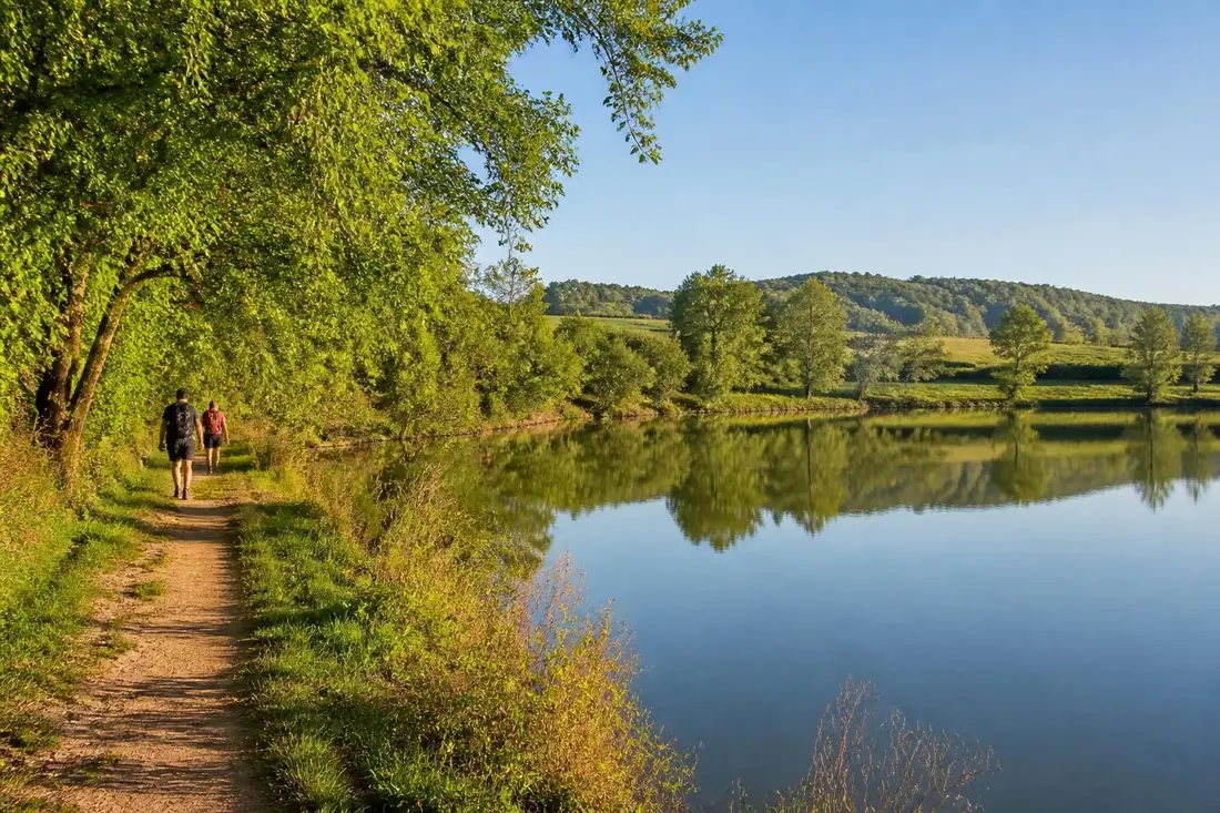 explorez la traversée de la dombes entre rhône et ain avec nos itinéraires détaillés et conseils pratiques pour une aventure enrichissante au cœur de paysages naturels exceptionnels.