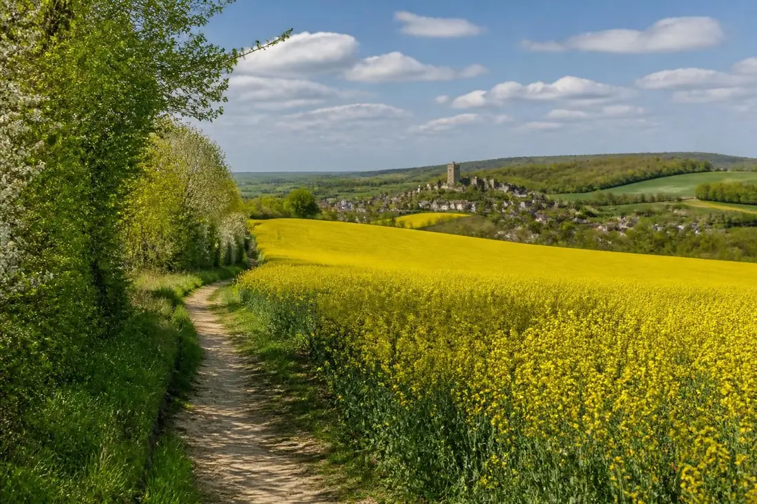 explorez la traversée des yvelines en 2026 avec nos itinéraires détaillés et conseils pratiques pour une aventure inoubliable.