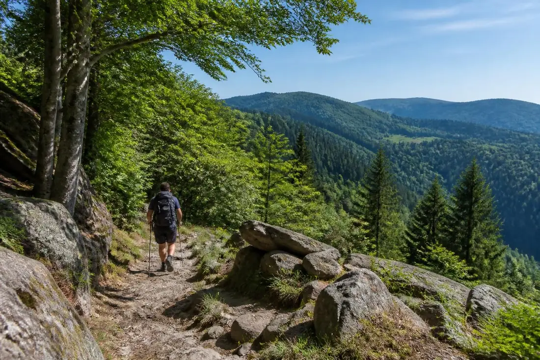 explorez la traversée du massif des vosges par le gr®531 avec notre guide complet : conseils pratiques, itinéraire détaillé et astuces pour profiter pleinement de cette randonnée emblématique.