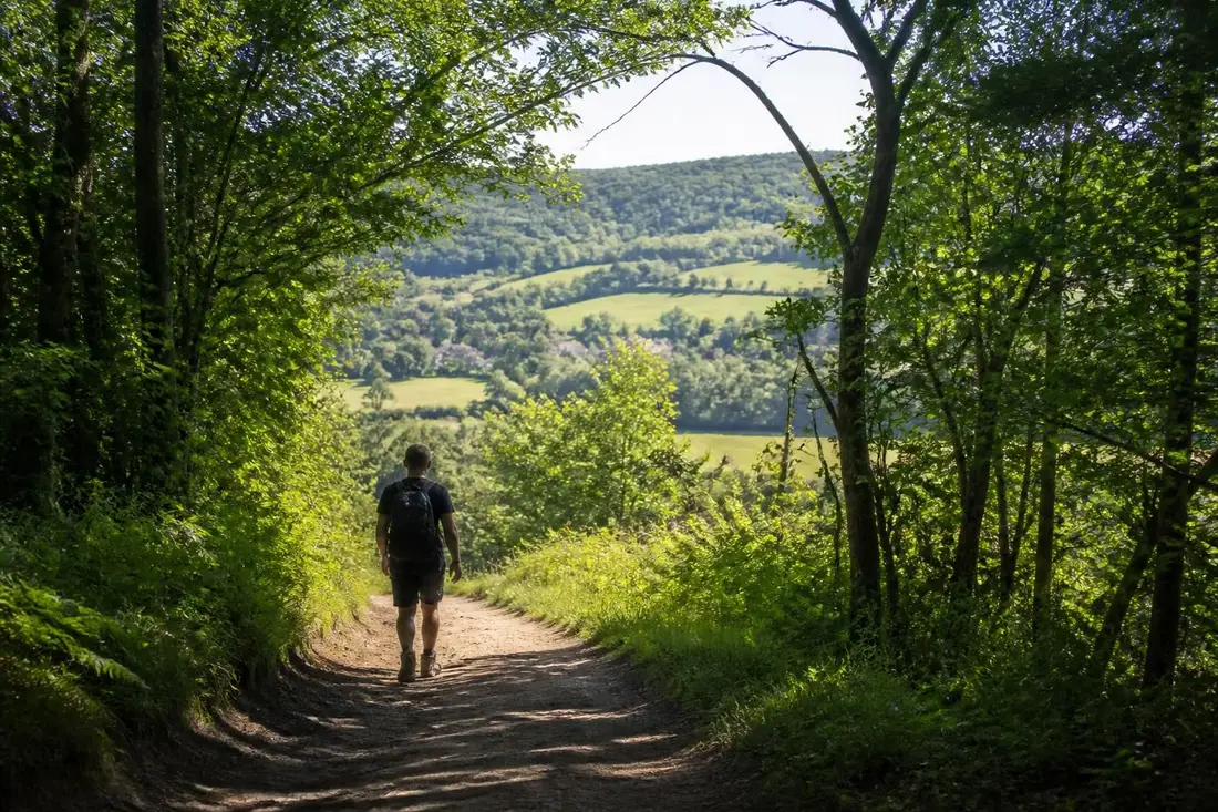 explorez le gr®1, le tour incontournable de l'île-de-france. découvrez l'itinéraire complet, des conseils pratiques pour une randonnée réussie et profitez des paysages magnifiques autour de paris.