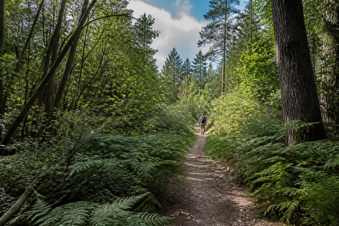 découvrez le gr®11, un itinéraire exceptionnel pour les amateurs de randonnée, faisant le tour du pays d'île-de-france. explorez des paysages variés et profitez d'une aventure unique au cœur de la nature francilienne.