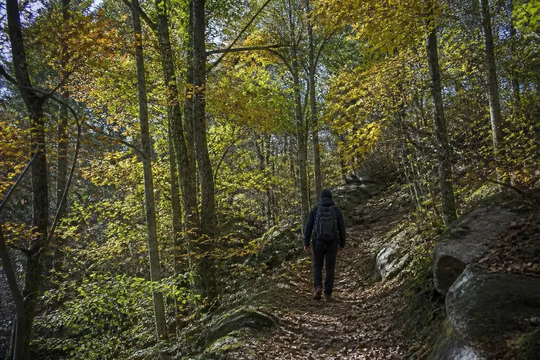 découvrez le gr®11, un itinéraire incontournable pour les passionnés de randonnée en île-de-france. explorez le tour complet du pays à travers des paysages variés et enrichissants.