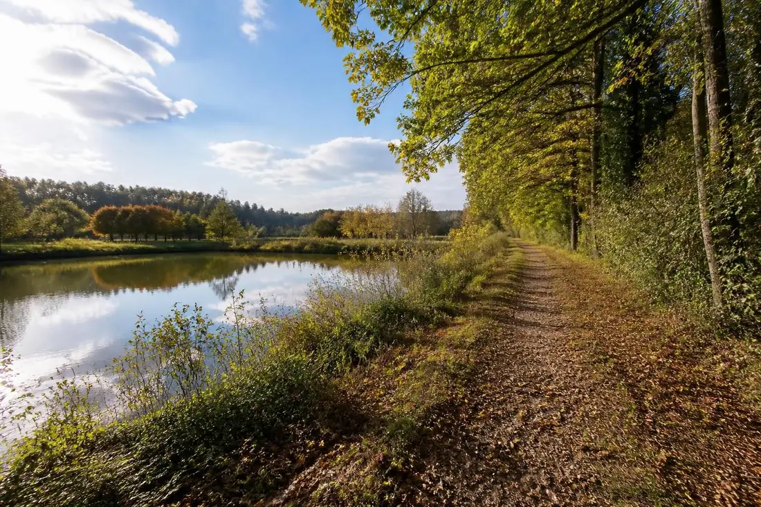 explorez le gr®12 de gué-d'hossus aux étangs de commelles, un sentier naturel exceptionnel entre ardennes et oise, idéal pour les amoureux de randonnée et de paysages authentiques.