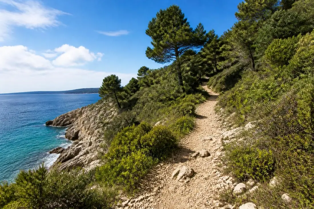découvrez le gr®120, un sentier du littoral offrant un parcours unique entre mer et nature. profitez de paysages côtiers exceptionnels et d'une immersion totale en pleine nature.