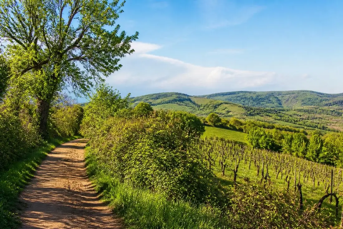 explorez le gr®137 de autun à nolay avec notre guide complet 2026 : itinéraires, conseils pratiques et points d'intérêt pour une randonnée inoubliable.