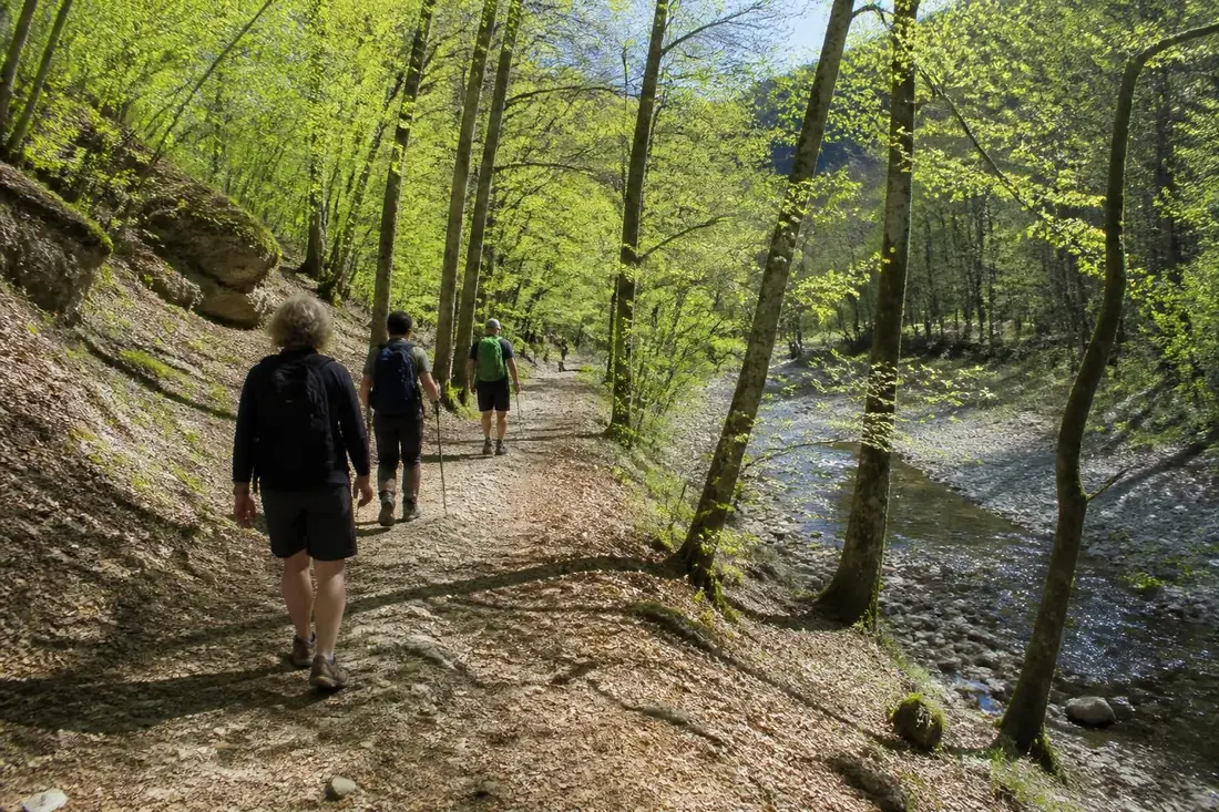 explorez le gr®226 de vaux à gué-rochoux avec notre guide complet : itinéraire détaillé, astuces pratiques et conseils essentiels pour une randonnée réussie.