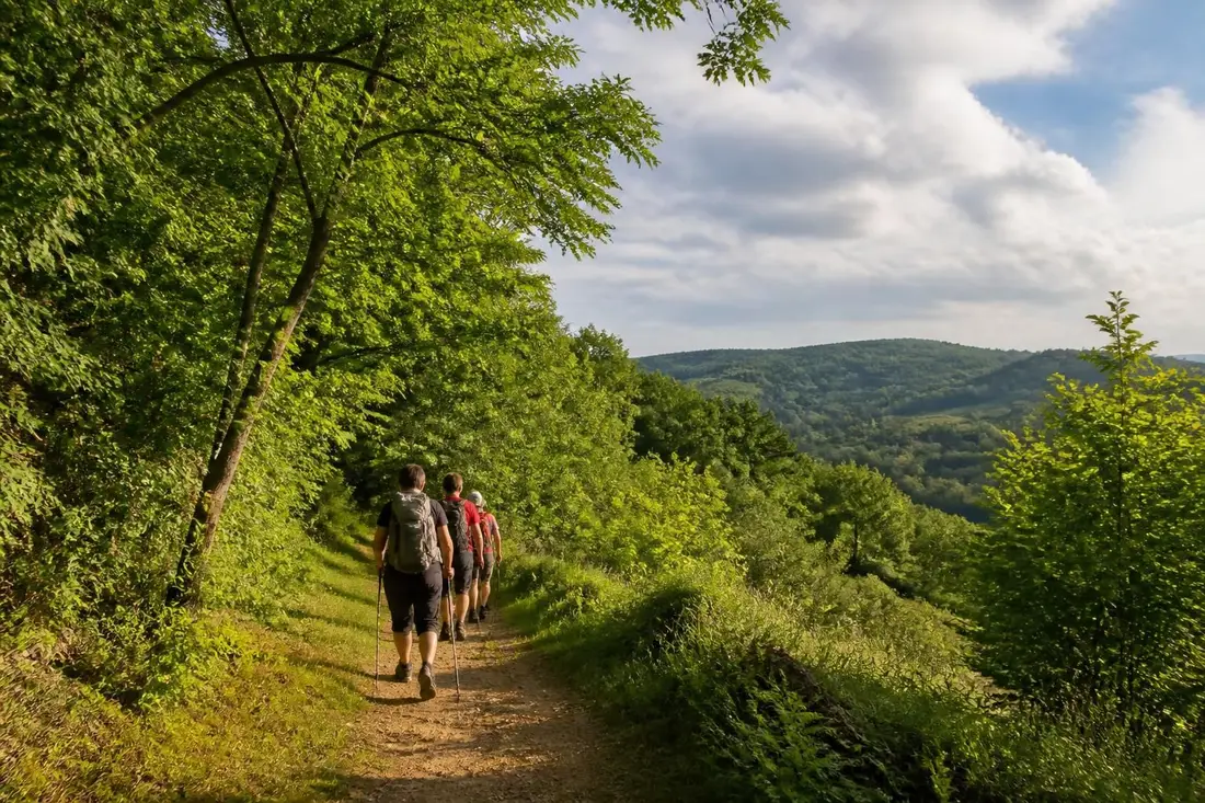 explorez le gr®23, sentier de randonnée reliant sotteville-sous-le-val à honfleur. découvrez l'itinéraire complet, nos conseils pratiques et préparez votre aventure en normandie.
