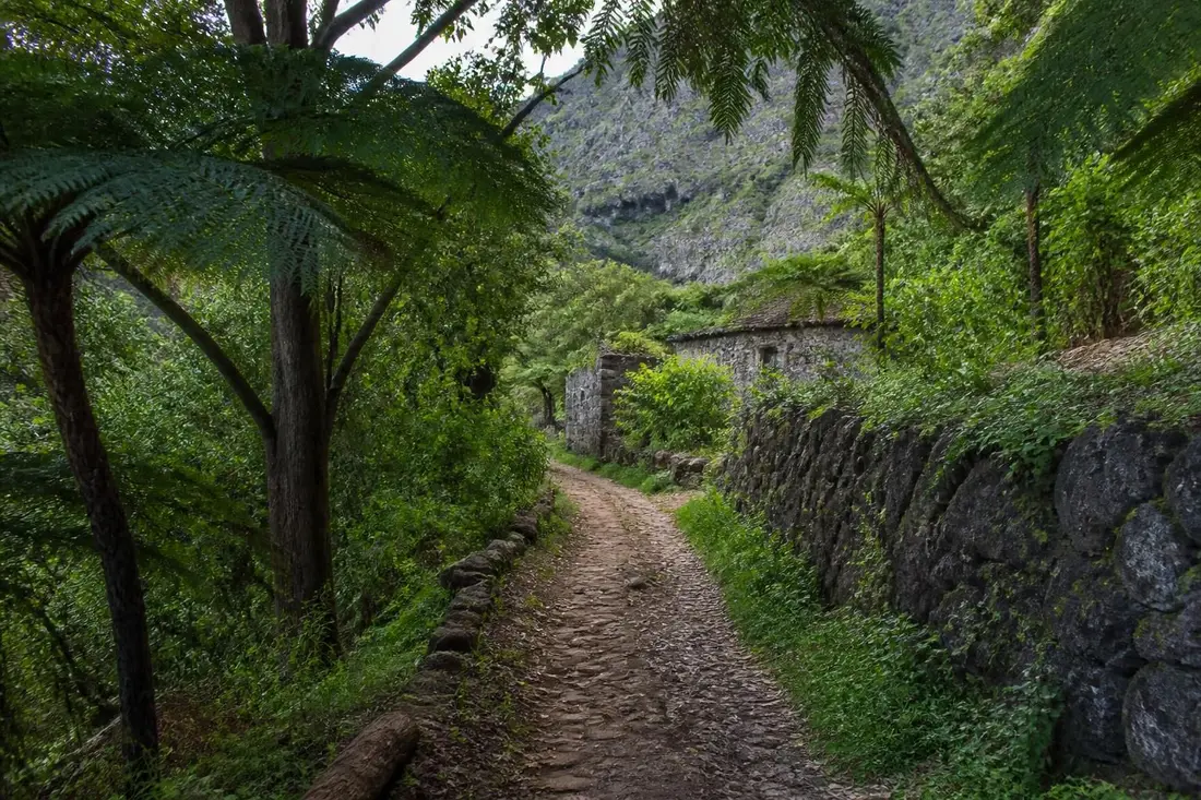 explorez le gr®303 terre des bourbons, un sentier unique qui vous invite à découvrir la richesse naturelle et l'histoire fascinante de cette région emblématique.