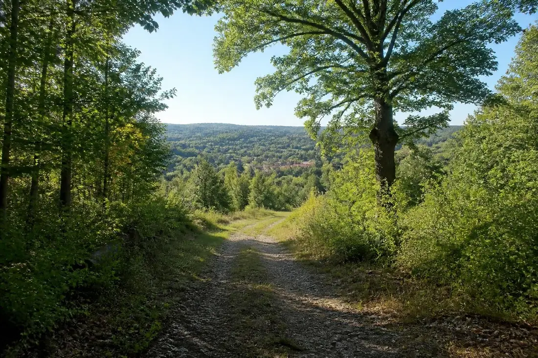 découvrez le gr®32 de st-fargeau-ponthierry à chécy grâce à notre guide complet de randonnée : itinéraires, conseils pratiques et points d'intérêt pour une aventure inoubliable.