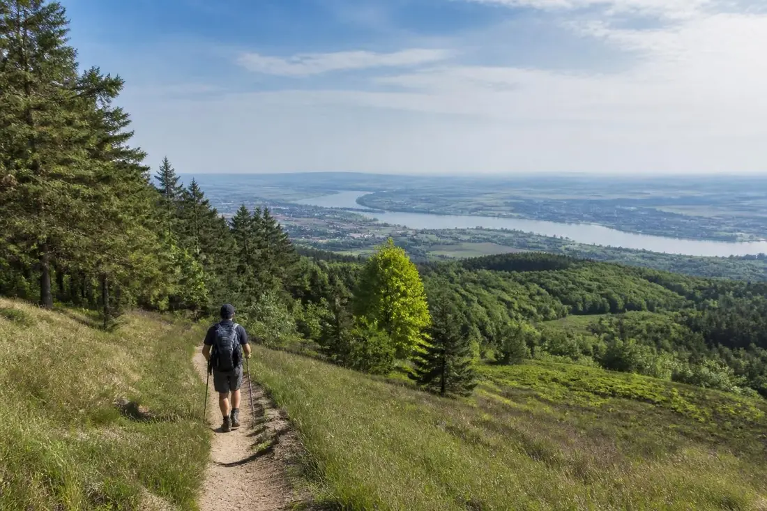 explorez le gr®32 de st-fargeau-ponthierry à chécy avec notre guide complet de randonnée : itinéraires, conseils pratiques et points d'intérêt pour une aventure inoubliable.