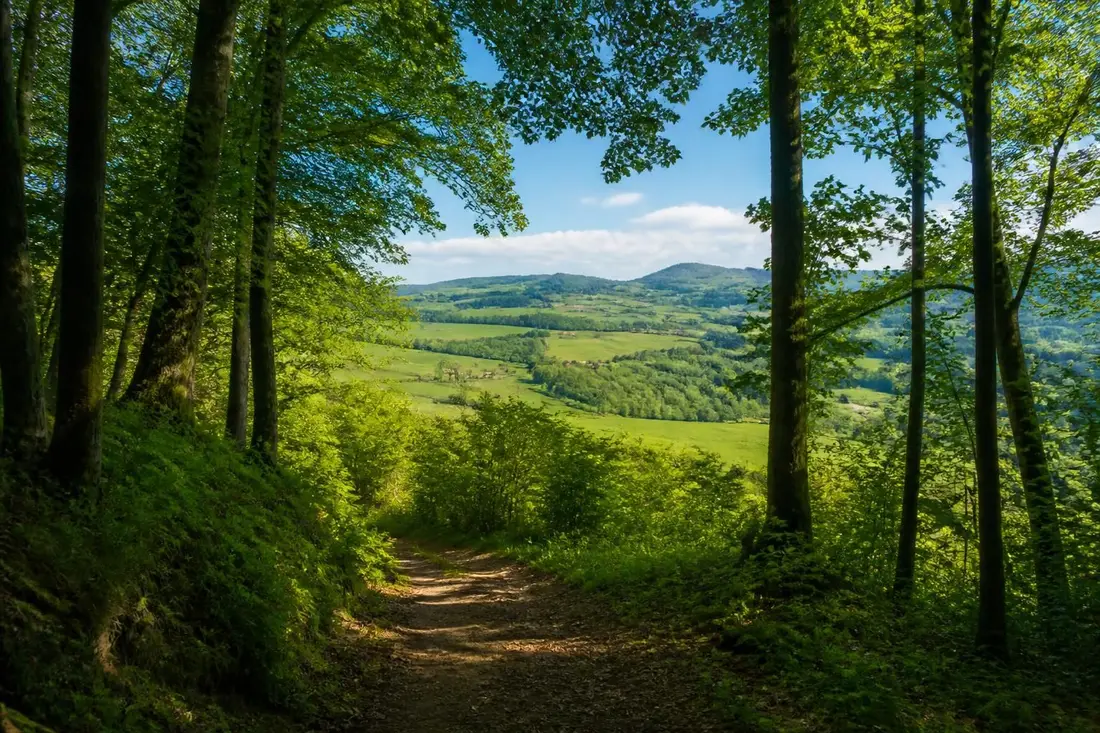 explorez le gr®342 de montluçon à roanne avec notre guide complet : itinéraire détaillé, conseils pratiques et points d'intérêt pour une randonnée inoubliable.