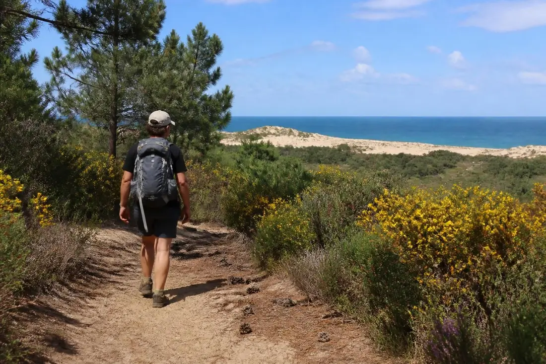explorez le gr®364 du poitou jusqu'à l'océan : découvrez l'itinéraire, les paysages magnifiques et bénéficiez de conseils pratiques pour une randonnée inoubliable.