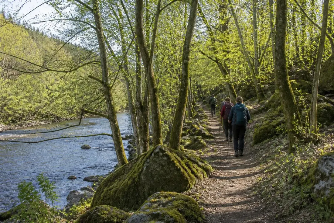 explorez le gr®365, un sentier de randonnée unique reliant la chapelle-janson à durtal, traversant les départements d'ille-et-vilaine et du maine-et-loire pour une aventure nature inoubliable.