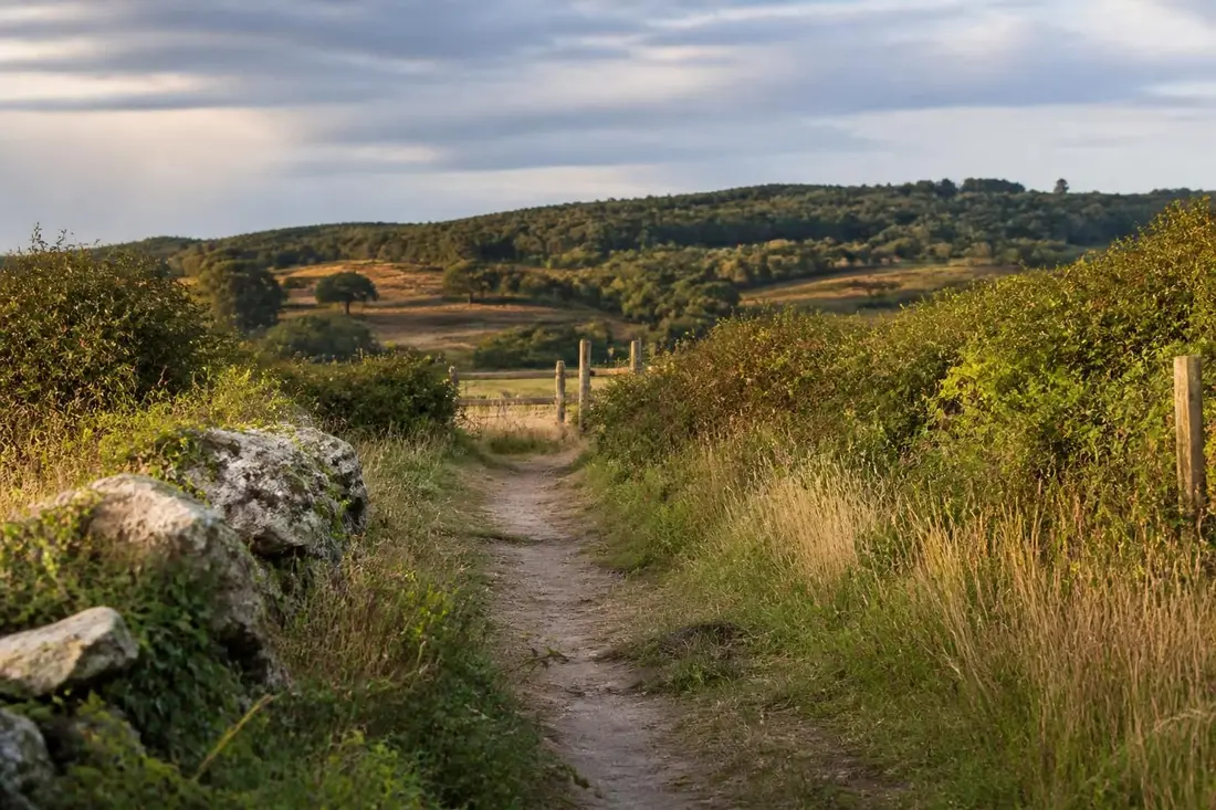 partez à la découverte du gr®39, un sentier de randonnée exceptionnel reliant le mont st michel à hoscas, offrant des paysages magnifiques entre la manche et la loire-atlantique.