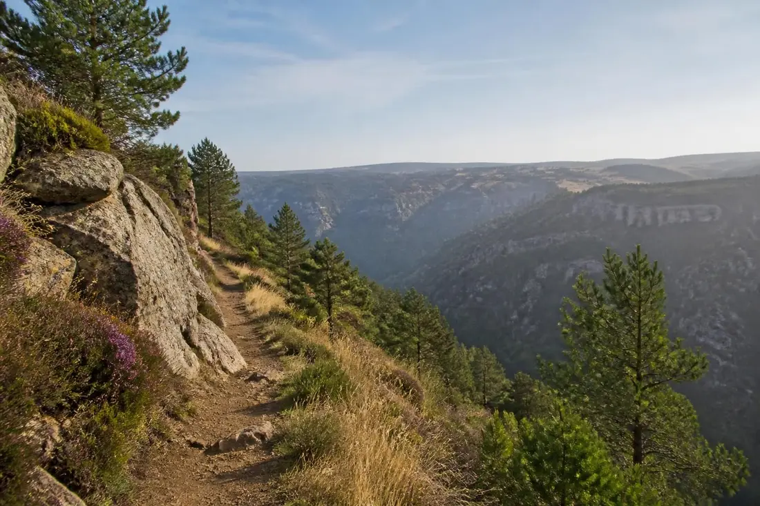 explorez le gr®43 du col des faïsses à sainte eulalie en lozère avec notre guide complet, incluant itinéraire, conseils pratiques et points d'intérêt pour une randonnée réussie.
