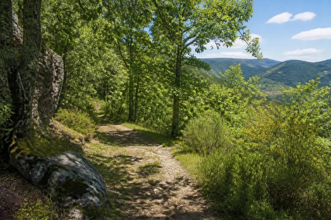 explorez le gr®430, le chemin de saint régis entre la haute-loire et l'ardèche, un sentier de randonnée riche en paysages naturels et patrimoine culturel.