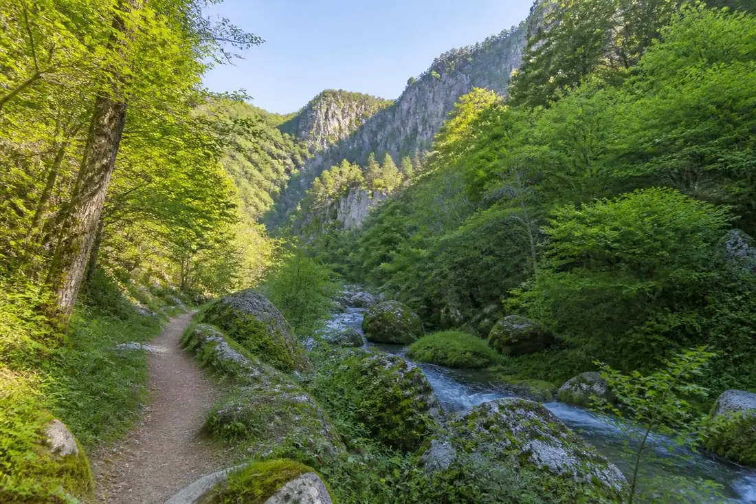 explorez le gr®470, un sentier de grande randonnée entre la haute-loire et la lozère, qui vous emmène à la découverte des sources et des magnifiques gorges de l'allier.