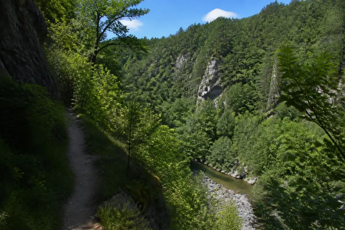 explorez le gr®480 de turenne le long des magnifiques gorges de la cère en corrèze, un sentier de randonnée offrant paysages spectaculaires et patrimoine riche.