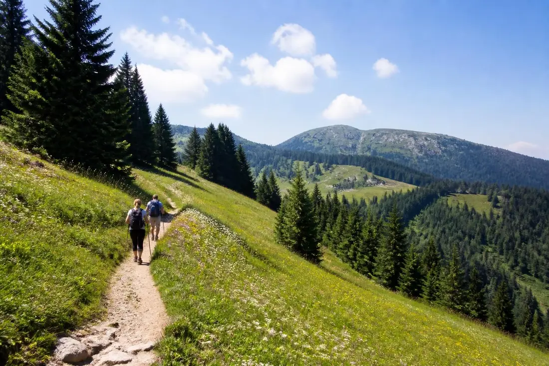 explorez le gr®509, grande traversée du jura, un itinéraire de randonnée incontournable alliant paysages exceptionnels, nature préservée et découvertes authentiques.