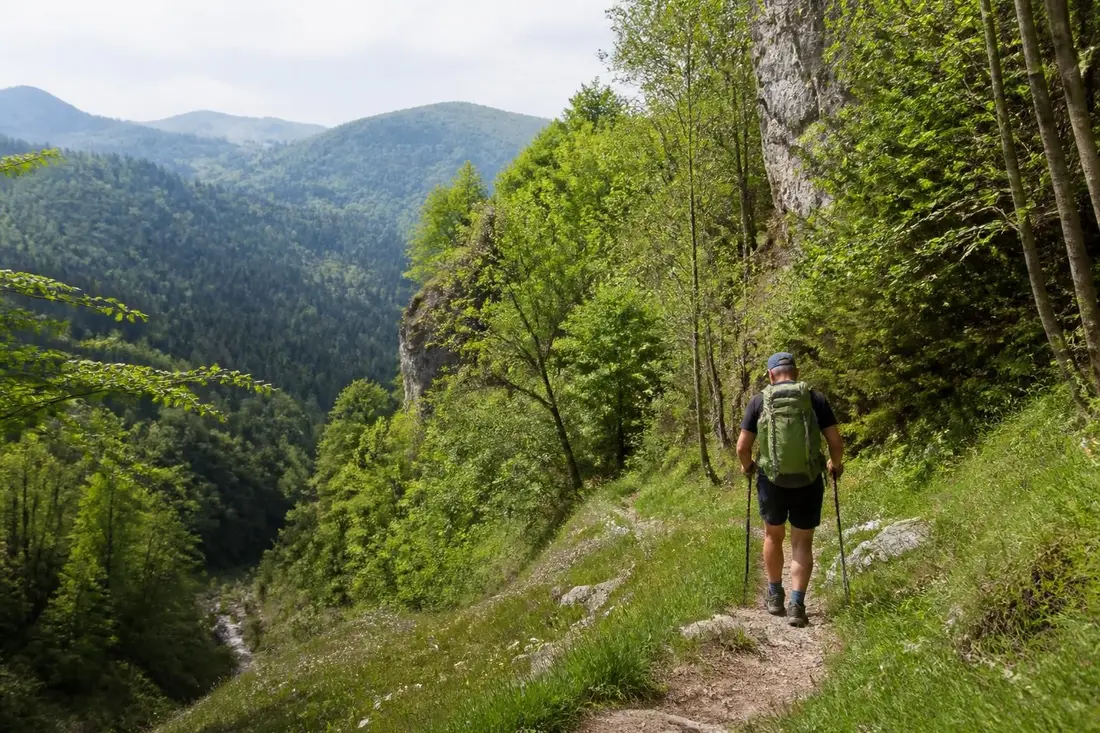 explorez le gr®559a du bayard à la clouterie, une randonnée incontournable dans le jura offrant des paysages naturels magnifiques et une expérience unique en pleine nature.