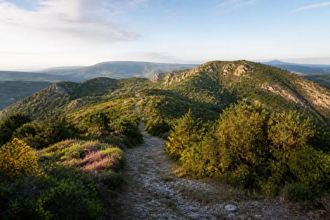 explorez le gr®60 entre le signal de mailhebiau et st mathieu-de-tréviers, un parcours pittoresque traversant la lozère, l'aveyron et l'hérault, idéal pour les amateurs de randonnée et de paysages naturels préservés.