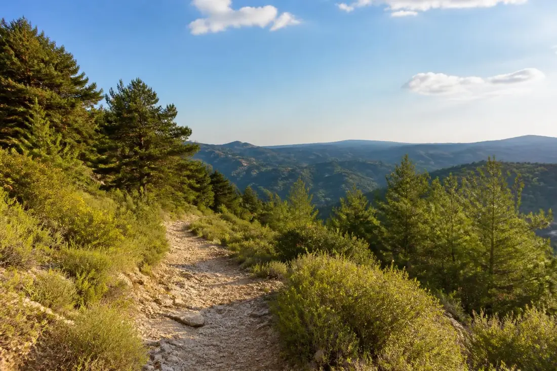 explorez le gr®63 de avignon au col de la cabane-vieille grâce à notre guide complet : itinéraire détaillé, conseils pratiques et découverte des paysages exceptionnels.