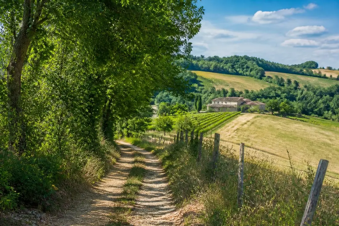 explorez le gr®636 de bernasse à lacapelle-biron, un sentier magnifique entre dordogne et lot-et-garonne, idéal pour les amateurs de randonnée et de nature.