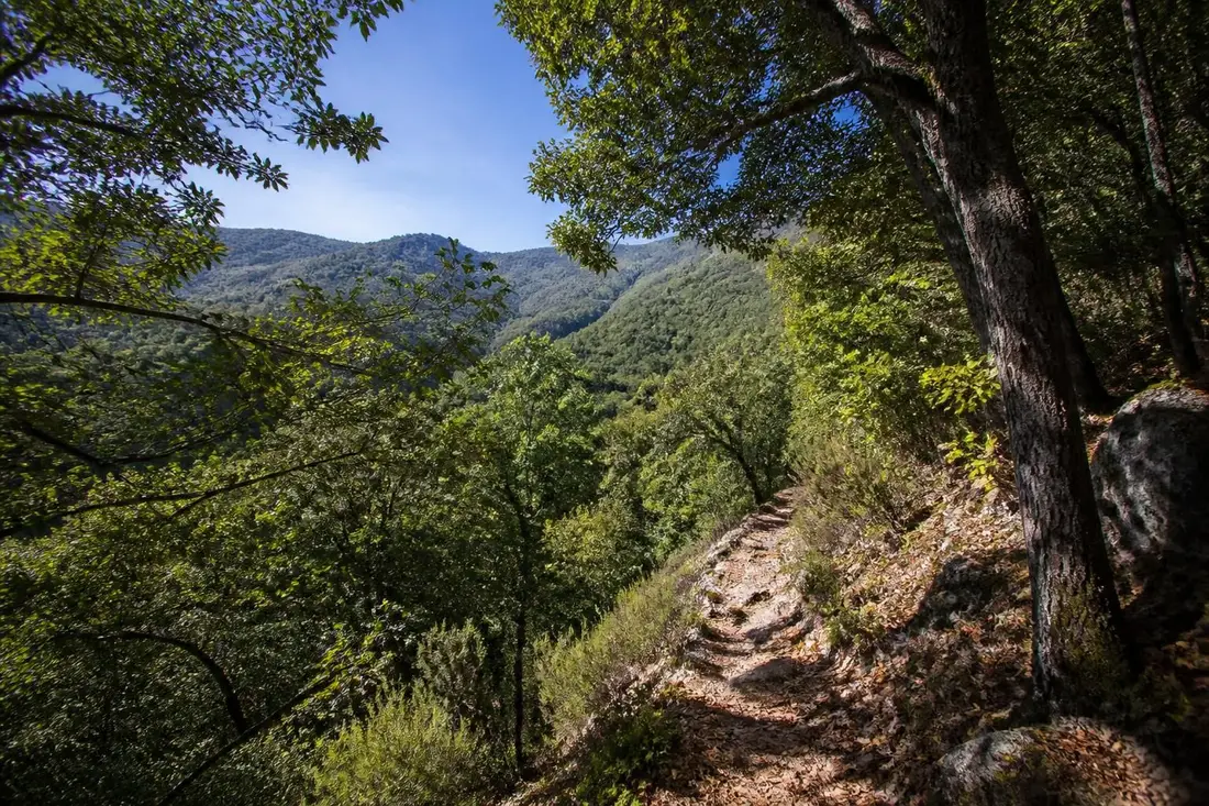 explorez le gr®67, un itinéraire de randonnée unique à travers le pays cévenol, entre gard et lozère, pour découvrir paysages naturels et patrimoines culturels authentiques.