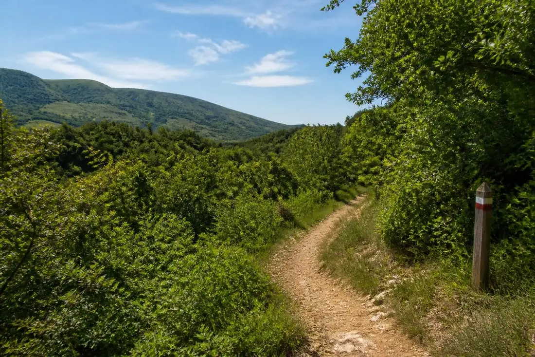 explorez le gr®670 de saint flour à saint germain-de-calberte avec notre guide complet : itinéraire, conseils pratiques et découvertes incontournables pour une randonnée réussie.