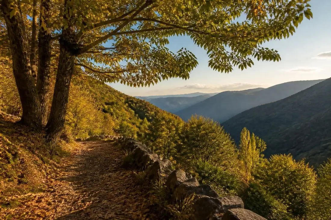 explorez le gr®70 sentier stevenson avec notre guide complet pour randonneurs : itinéraires, conseils pratiques et découvertes culturelles pour une aventure inoubliable.