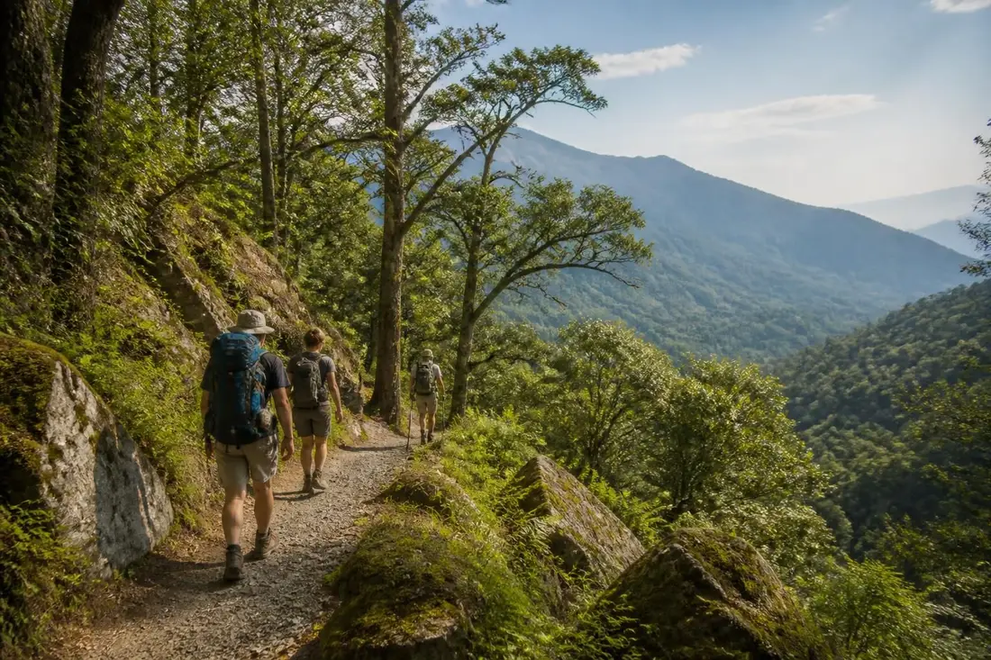 explorez le gr®70, sentier stevenson, grâce à notre guide complet pour randonneurs : itinéraires, conseils pratiques et découvertes incontournables.